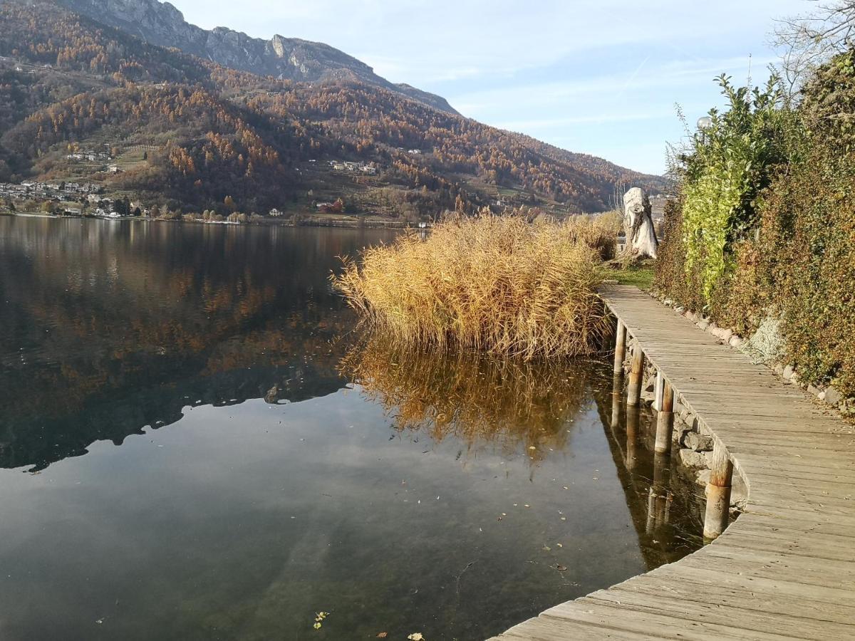 Il Riccio Del Castagno Leilighet Novaledo Eksteriør bilde