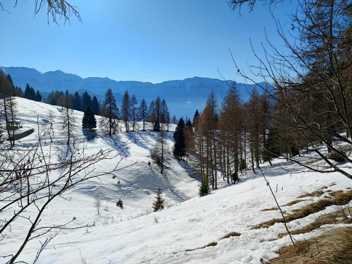 Il Riccio Del Castagno Leilighet Novaledo Eksteriør bilde
