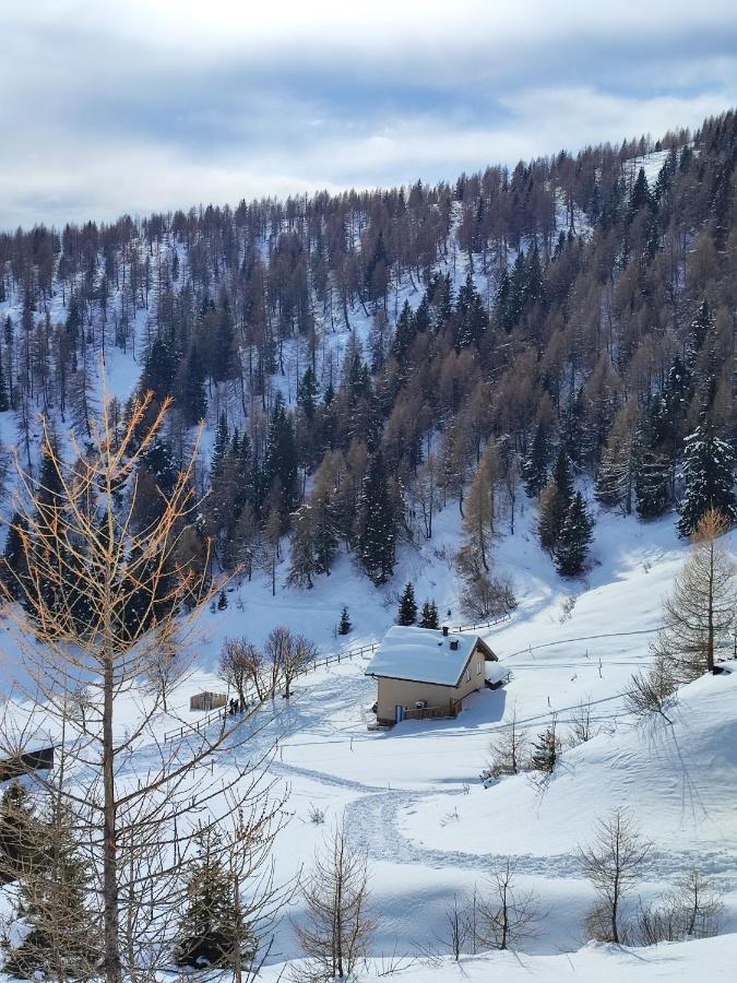 Il Riccio Del Castagno Leilighet Novaledo Eksteriør bilde