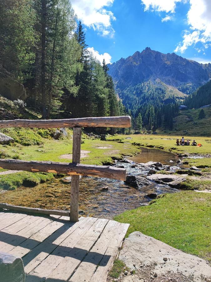 Il Riccio Del Castagno Leilighet Novaledo Eksteriør bilde