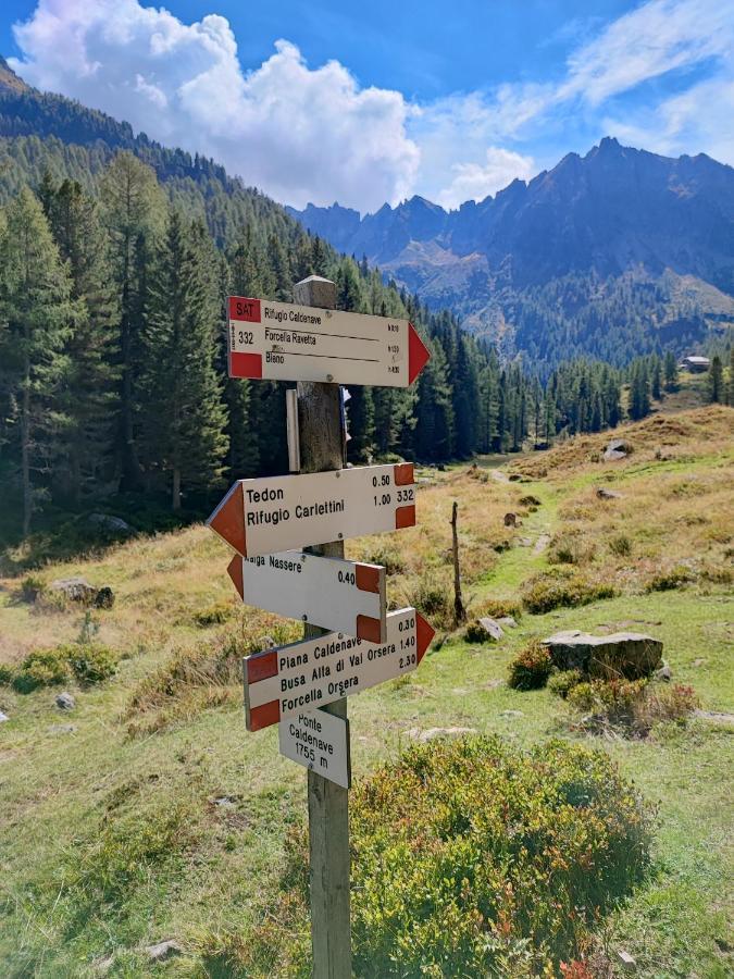 Il Riccio Del Castagno Leilighet Novaledo Eksteriør bilde