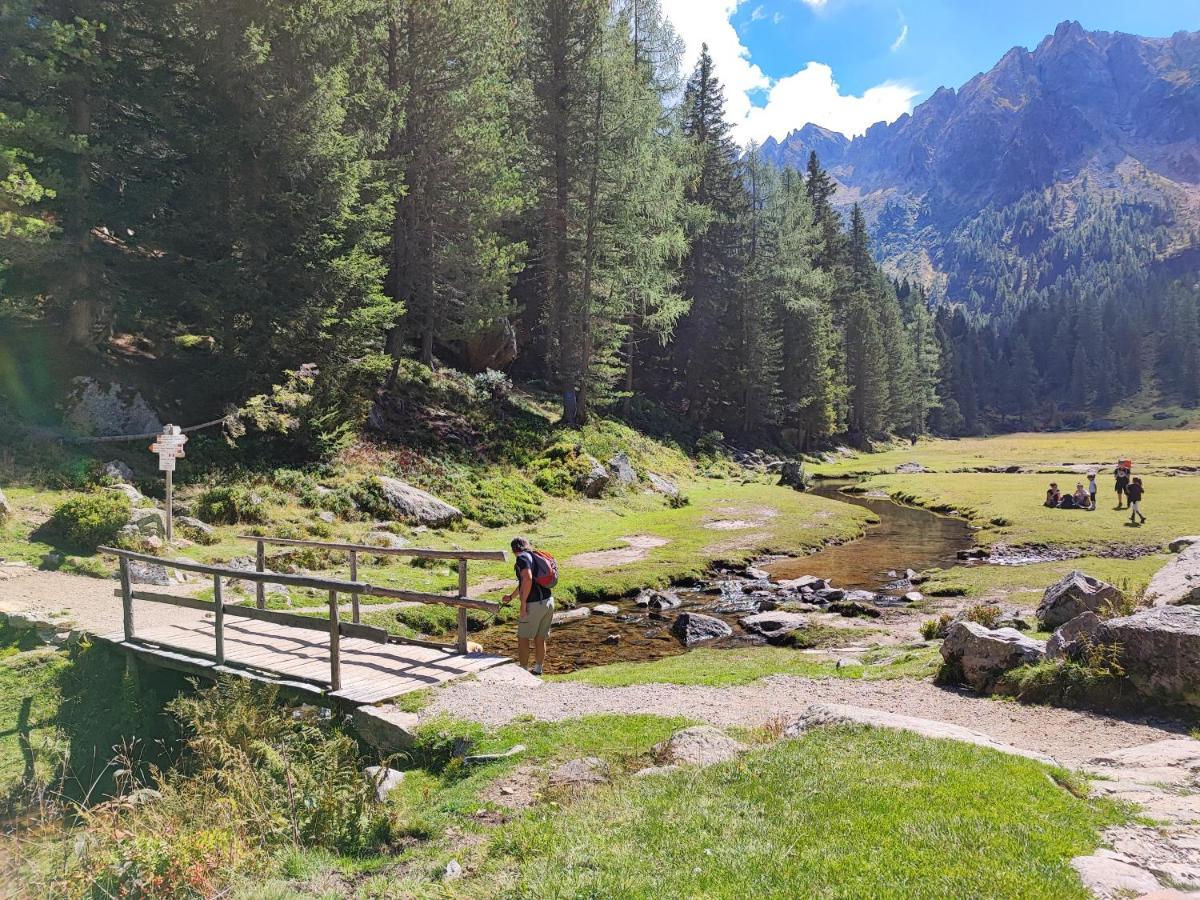 Il Riccio Del Castagno Leilighet Novaledo Eksteriør bilde